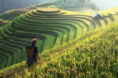 Vietnam