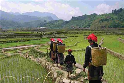 Vietnam