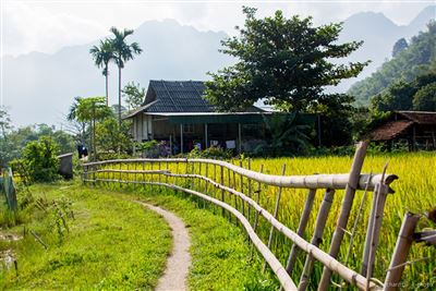 Vietnam